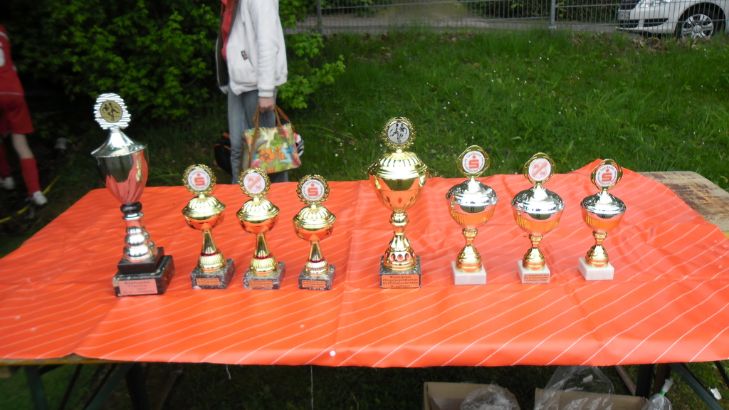 Pfingstturnier 2013