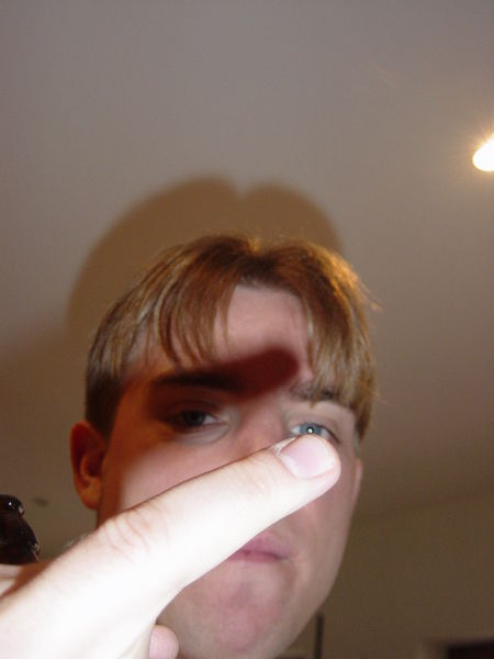 Vatertag 2006