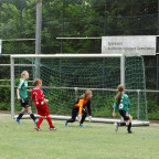 1. Girls Cup 2013